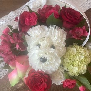 Meet your Posher, Phyllis